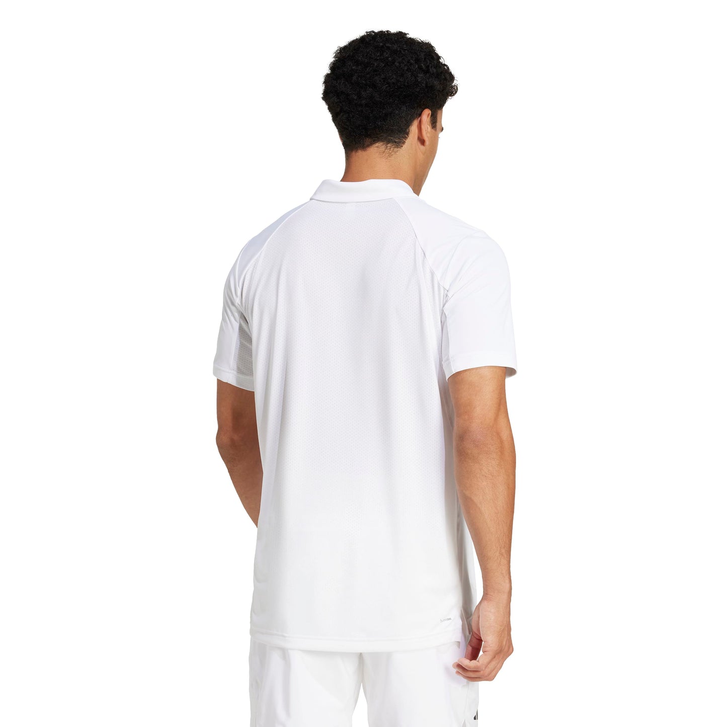 adidas Men's Tennis Polo Club JD8636