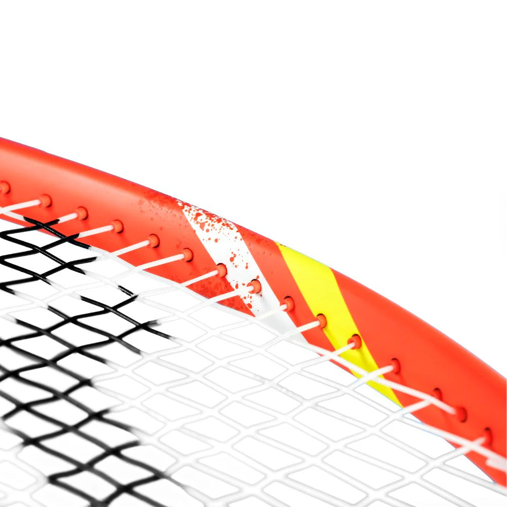 Tecnifibre T-Fight 300S IG